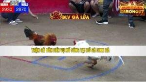 NỔ SÚNG TẠI DINH BÀ NGÀY 30/08/2025