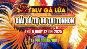 lệ phí 100 triệu tại giải gà tự do tonhon
