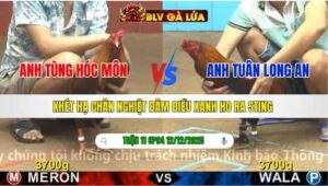 TRẬN 11 CPC4 NGÀY 12/12/2025