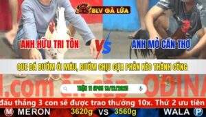 TRẬN 11 CPC5 NGÀY 13/12/2025