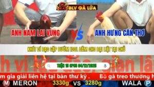 TRẬN 15 CPC5 NGÀY 4/12/2025