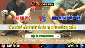 TRẬN 22 CPC4 NGÀY 9/12/2025