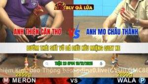 TRẬN 23 CPC4 NGÀY 16/12/2025