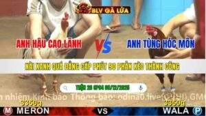 TRẬN 26 CPC4 NGÀY 8/12/2025