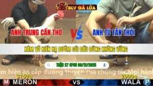 TRẬN 27 CPC5 NGÀY 9/12/2025