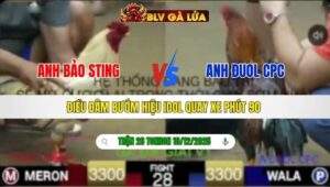 TRẬN 28 TONHON NGÀY 10/12/2025