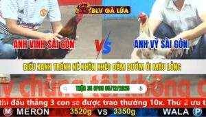 TRẬN 35 CPC5 NGÀY 5/12/2025