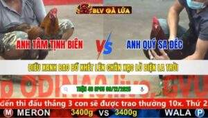 TRẬN 46 CPC5 NGÀY 9/12/2025