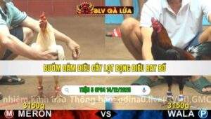 TRẬN 5 CPC4 NGÀY 14/12/2025