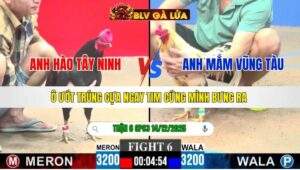 TRẬN 6 CPC3 NGÀY 14/12/2025