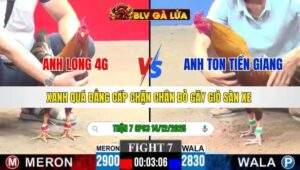 TRẬN 7 CPC3 NGÀY 14/12/2025