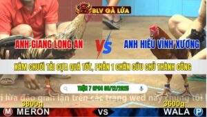 TRẬN 7 CPC4 NGÀY 8/12/2025