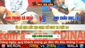 TRẬN 8 CPC5 NGÀY 12/12/2025