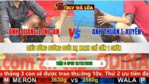 TRẬN 9 CPC5 NGÀY 12/12/2025