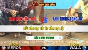 TRẬN 10 CPC4 NGÀY 5/1/2026