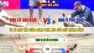 TRẬN 10 XÀ XÍA NGÀY 6/1/2026