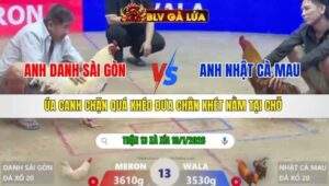 TRẬN 13 XÀ XÍA NGÀY 10/1/2026