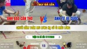 TRẬN 13 XÀ XÍA NGÀY 17/1/2026