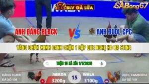 TRẬN 15 XÀ XÍA NGÀY 1/1/2026