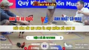 TRẬN 2 XÀ XÍA NGÀY 14/1/2026