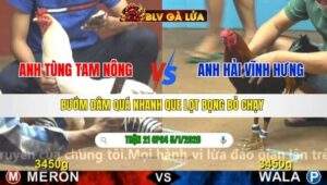 TRẬN 21 CPC4 NGÀY 5/1/2026