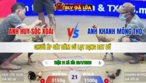 TRẬN 21 XÀ XÍA NGÀY 28/1/2026