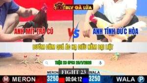 TRẬN 23 CPC3 NGÀY 29/1/2026