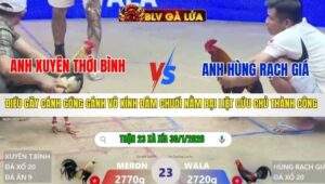 TRẬN 23 XÀ XÍA NGÀY 30/1/2026