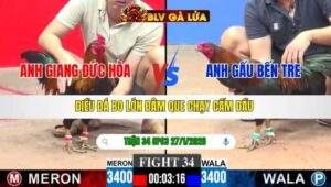 TRẬN 34 CPC3 NGÀY 27/1/2026