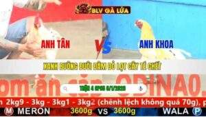 TRẬN 4 CPC5 NGÀY 6/1/2026