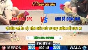 TRẬN 44 CPC3 NGÀY 4/1/2026