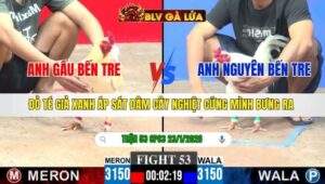 TRẬN 53 CPC3 NGÀY 23/1/2026