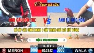 TRẬN 7 CPC3 NGÀY 15/1/2026