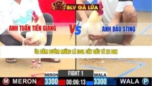 TRẬN 1 CPC2 NGÀY 31/3/2026