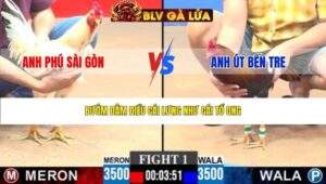 TRẬN 1 CPC3 NGÀY 26/3/2026