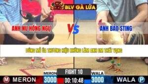 TRẬN 10 CPC2 NGÀY 24/3/2026