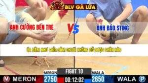 TRẬN 10 CPC2 NGÀY 27/3/2026