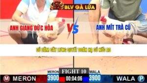 TRẬN 10 CPC3 NGÀY 22/3/2026