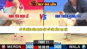 TRẬN 11 CPC2 NGÀY 21/3/2026