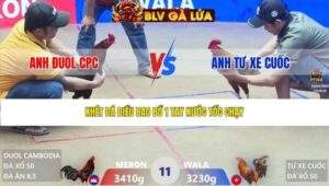 TRẬN 11 XÀ XÍA NGÀY 26/3/2026