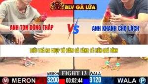 TRẬN 13 CPC3 NGÀY 31/3/2026