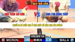 TRẬN 14 CPC3 NGÀY 26/3/2026