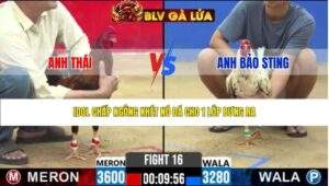 TRẬN 16 CPC2 NGÀY 25/3/2026