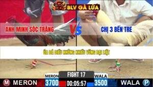 TRẬN 17 CPC2 NGÀY 25/3/2026