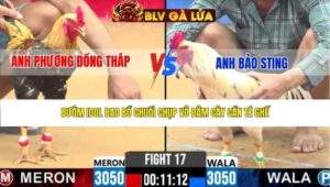 TRẬN 17 CPC2 NGÀY 31/3/2026