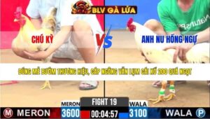 TRẬN 19 CPC2 NGÀY 11/3/2026