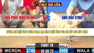 TRẬN 19 CPC2 NGÀY 17/3/2026