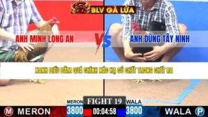 TRẬN 19 CPC3 NGÀY 15/3/2026