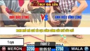 TRẬN 2 CPC2 NGÀY 24/3/2026