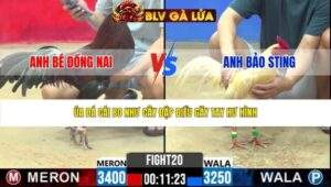 TRẬN 20 CPC2 NGÀY 20/3/2026